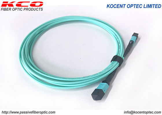 Elite Low Loss 8fo OM3 OM4 MPO MTP Trunk Fiber Patch Cable and MPO MTP Patch Cord for Data Centers
