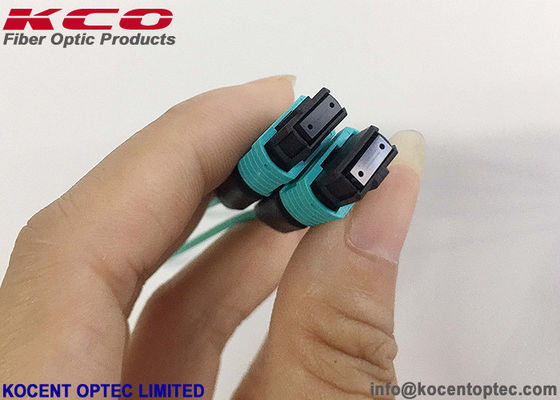 LSZH Single Mode 8fo 12fo 24fo MPO MTP Loopback Module and MTP Loopback Patch Cord