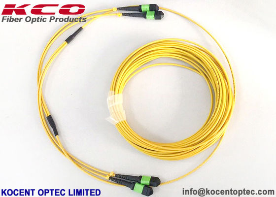 MPO APC 24fo 48cores G657A1 Elite Invoegingsverlies MTP Fiber Optic Trunk Patch Cable
